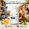 Aditiv Imunitar pentru Pasari de Curte si Porumbei 100ml