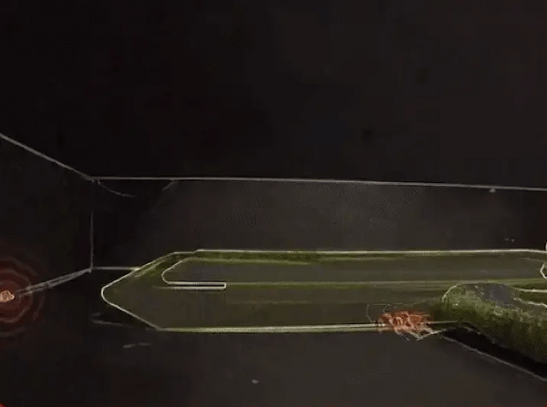 STOPGandaci: Soluția Finală