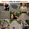Agent Fixare Nisip si Pietris 1L - SandHold