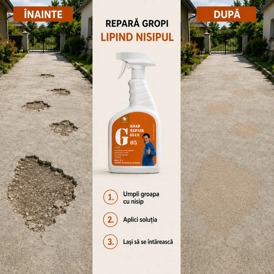 Agent Fixare Nisip si Pietris 1L - SandHold
