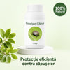 Fara Capuse - Solutie Repelenta pentru Capuse 100g